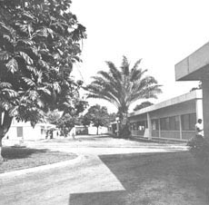 Vieux ECG